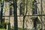 bild5