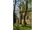 bild8